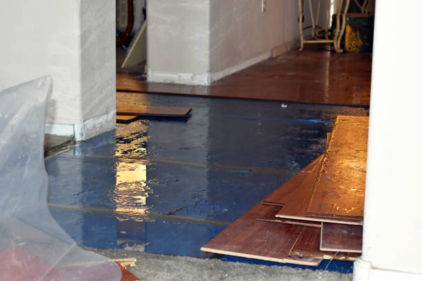 Professional Emergency Water Damage Restoration technician working in Rutland, IA